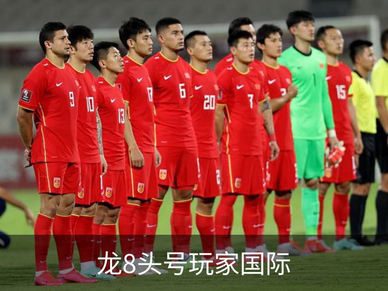 龙8头号玩家国际简介